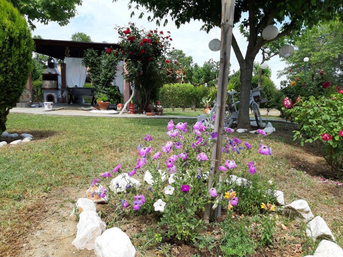 Evgenia Maisonette Ierissos Exteriör bild